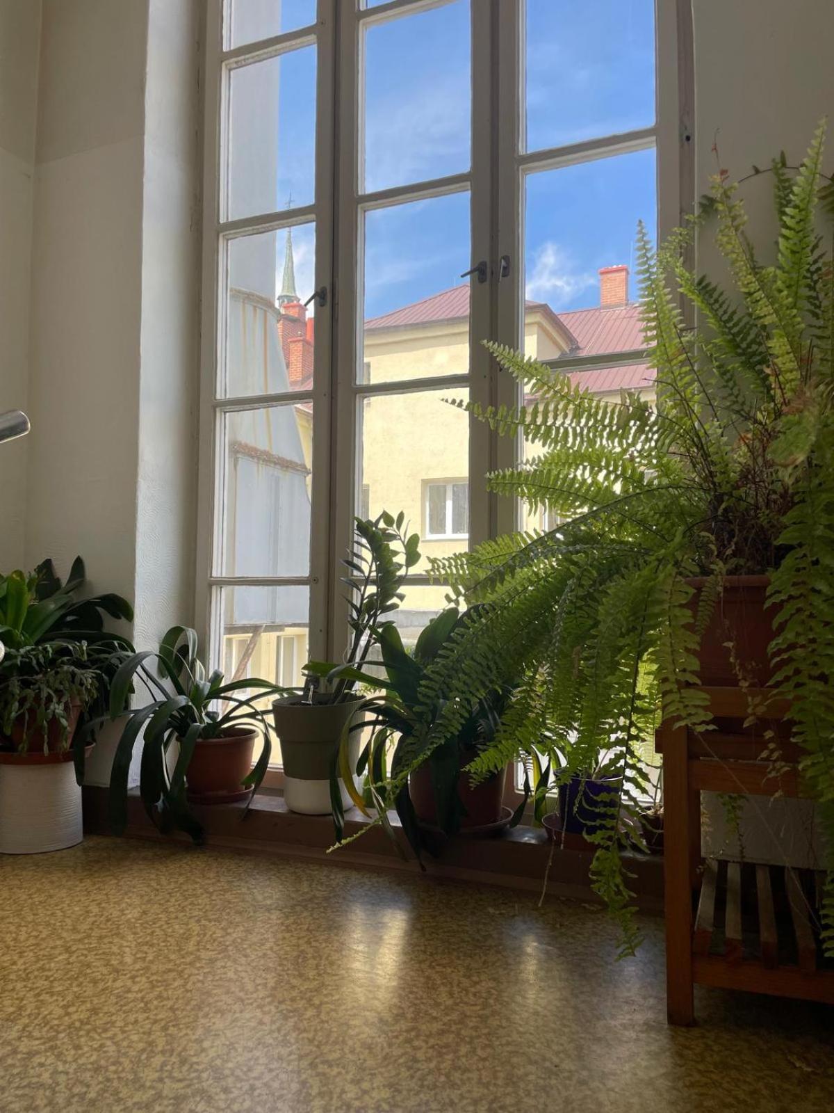 Hostel Moravia ออสตราวา ภายนอก รูปภาพ